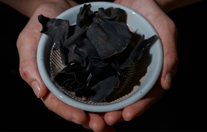 남성탈모헤어라인 토닉에 쓰는 부산 기장산 다시마 원물 이미지